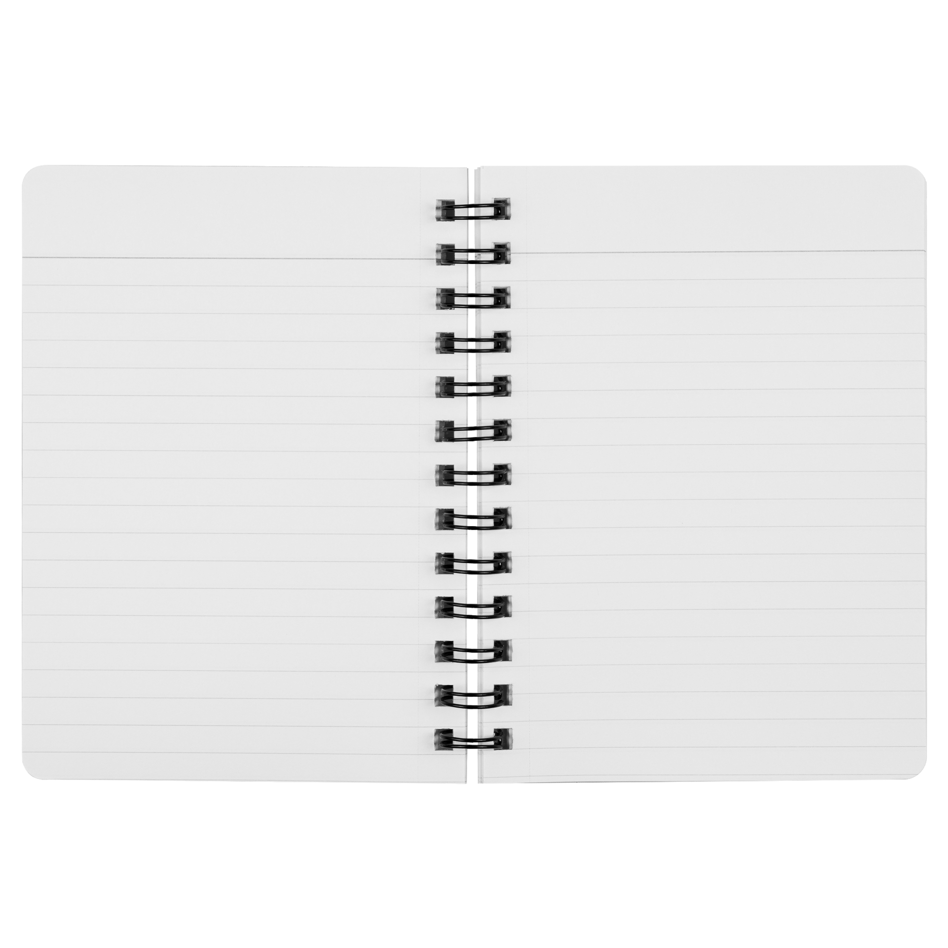 Cola_Bat_Notebook_SN_Open_Pages_Mockup.png