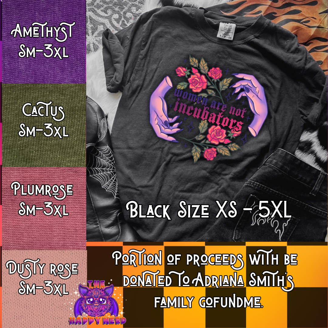 Women Are Not Incubators Tee